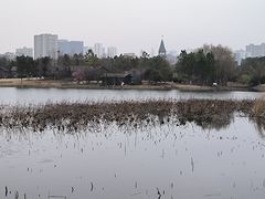 -武汉园博园(武汉自然博物馆)
