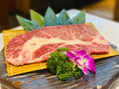 -千寻山野烤肉(中关村店)
