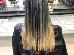 -SALON V