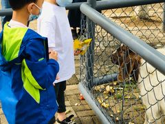 -长白岛森林公园