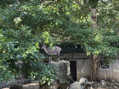 -成都动物园