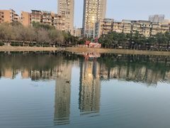-宝岛公园