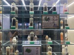 -广东中医药博物馆