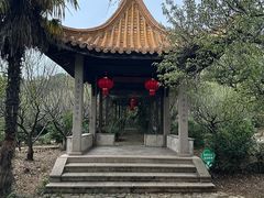 -雨花胜境