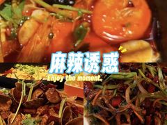 -奉天宴遇烧烤·冒锅