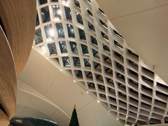 -哈尔滨大剧院