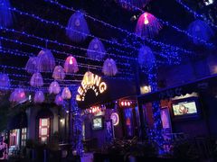-猫头婴小酒馆FUN OWL(1912店)