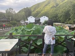 -荷塘味道(水长城店)