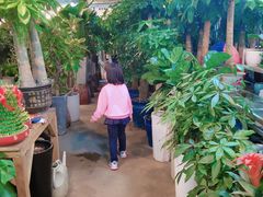 -双季花艺园艺市场(浦东店)