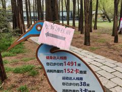 -同里国家湿地公园