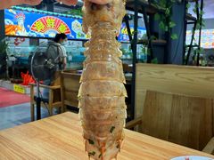 -北海金海湾红树林生态旅游区