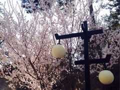 iphone_upload_pic-医巫闾山