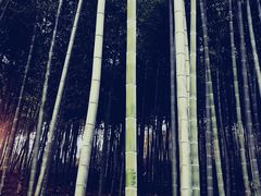 -天目湖涵田度假村