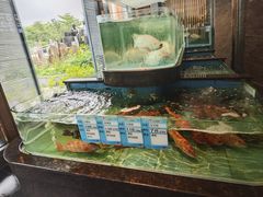 -盆满钵满·国家非遗传承(云台店)