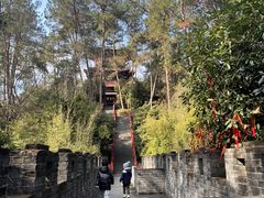 -梦姑塘文化公园