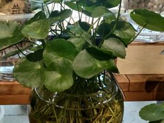 -弗劳尔花艺坊(龙涛店)