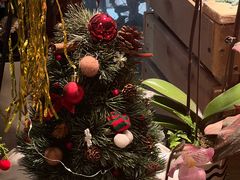 -自由生长植物工作室(深港花卉中心店)