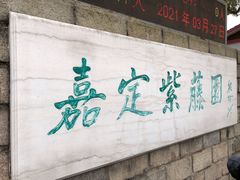 -嘉定紫藤园