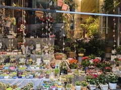 -循礼门鲜花花市(武汉循礼门店)