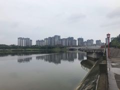 -眉山湿地公园(东坡区)