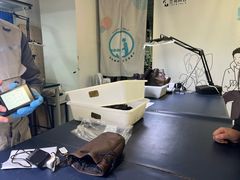 -兰拓相机租赁·维修·二手(上海店)