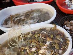 -芦潮港集贸市场