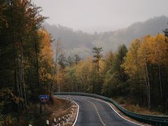 -莫尔道嘎国家森林公园