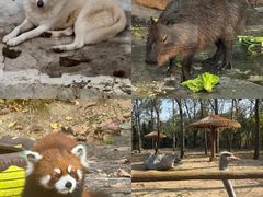 -大连森林动物园