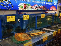 -渔意楼·驰名沙田乳鸽(五羊店)