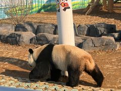 -秦皇岛野生动物园