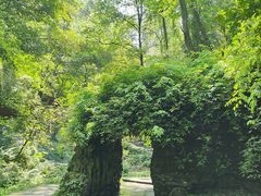 -常德桃花源景区