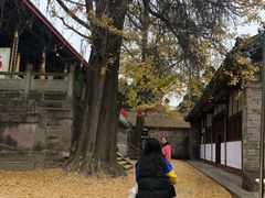 -金堂县云顶石城风景区