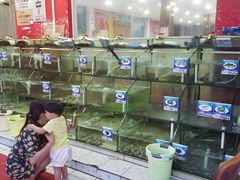 -南海渔家•海鲜•正宗海南菜(海棠湾店)