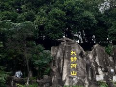 -徽园
