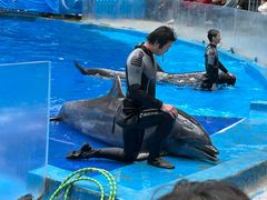 -海合安成都极地海洋公园