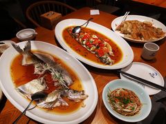 翘嘴鲌鱼-丹江渔村(望京店)