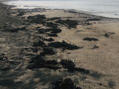 -灌篮高手动画打卡地
