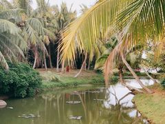 -白沙门生态公园