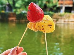 -雪儿钱局泡菜