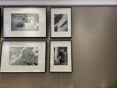 -PAUL LAFAYET 法式甜品(港汇广场店)