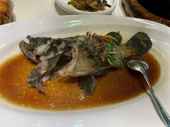 清蒸老虎斑-宝燕壹号(徐汇店)