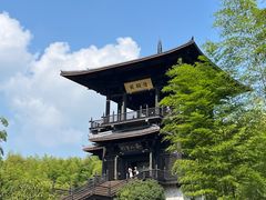 -大唐贡茶院