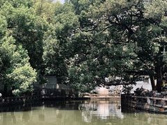 -西园戒幢律寺