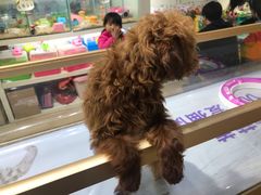 -乐宠宠物店(世纪金源店)