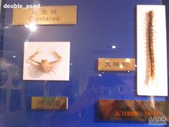 -上海昆虫博物馆