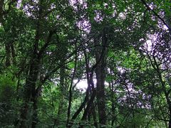 -龙苍沟森林公园