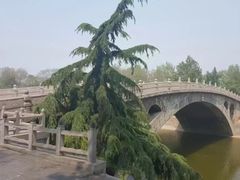 -赵州桥景区