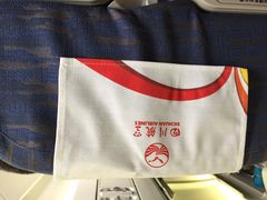 四川航空-海南海航航空信息系统公司