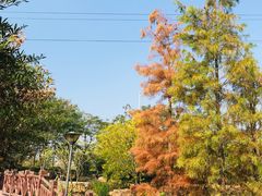 -广东花都湖国家湿地公园