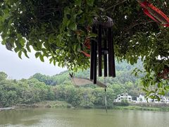 -渔梁坝